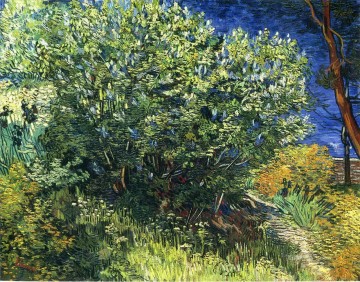 Lilac Bush Vincent van Gogh Oil Paintings